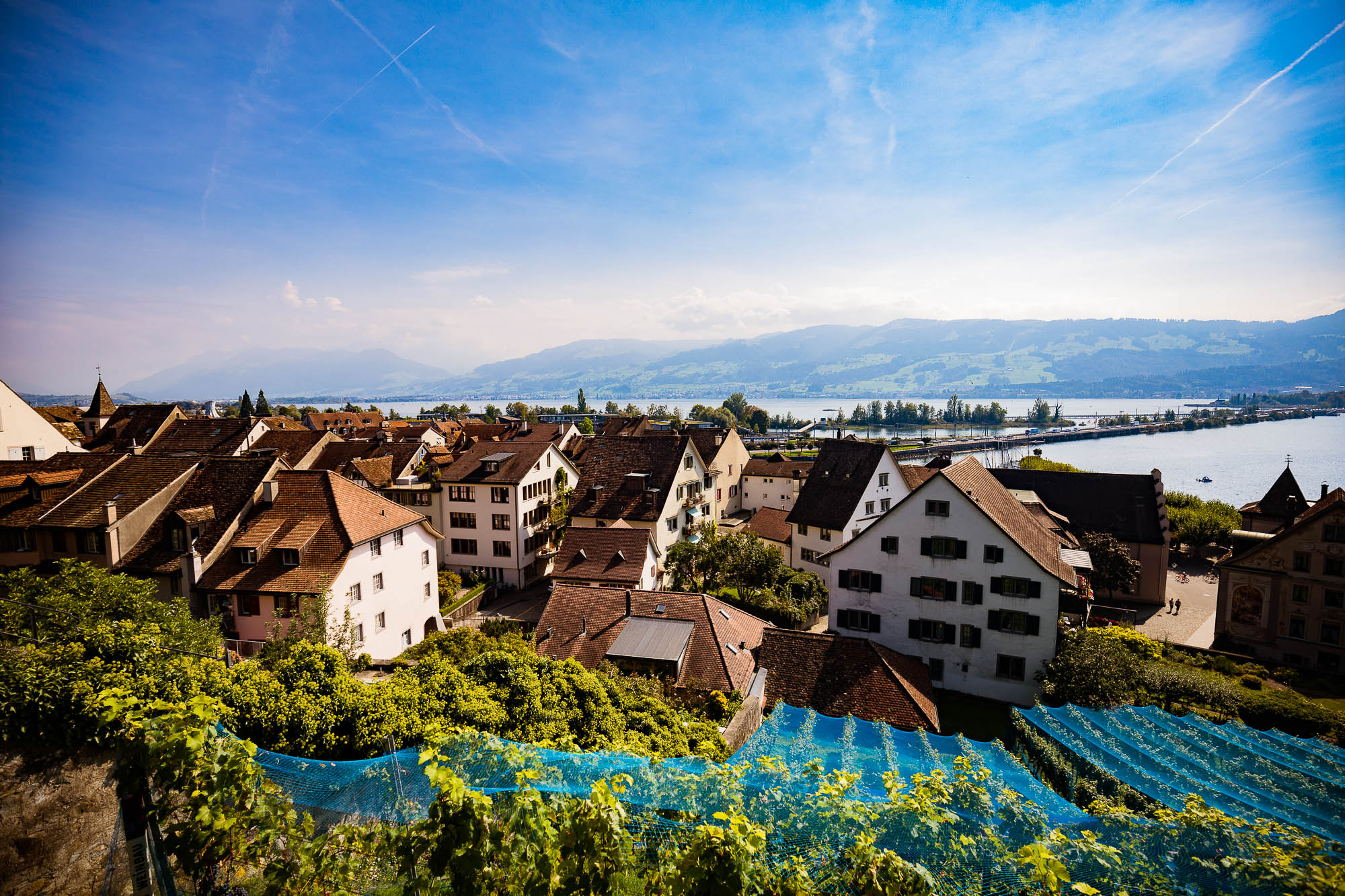 Export x3 5D4 4953 Hochzeit 2020 Muriel & Trevor